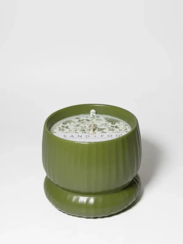 Olive & Lemon 10 oz scented candle