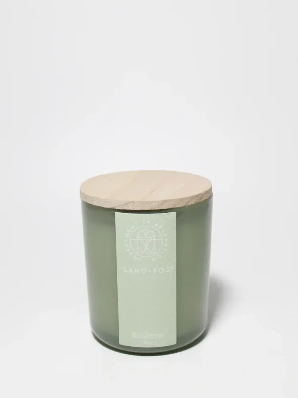 Eucalyptus 10 oz scented candle