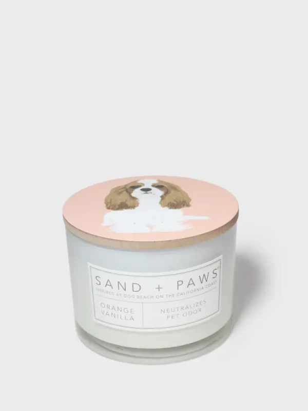Sand + Paws Orange Vanilla 12 oz scented candle